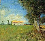 Vincent van Gogh Farmhouses in a Wheat Field painting